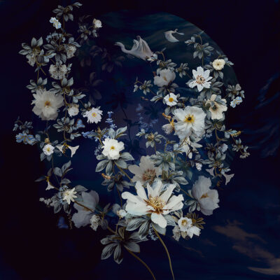 Flowering spring - Image 6