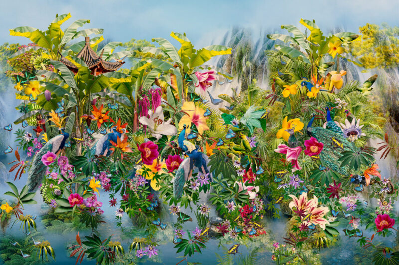 A Distant Paradise