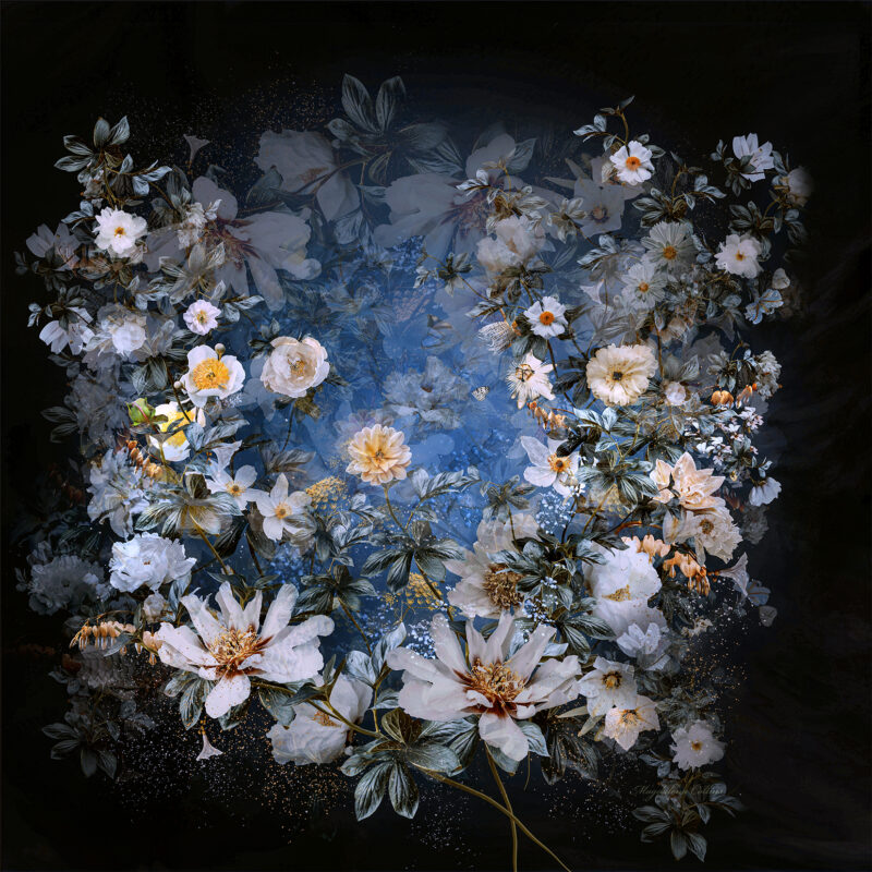 At night in the garden