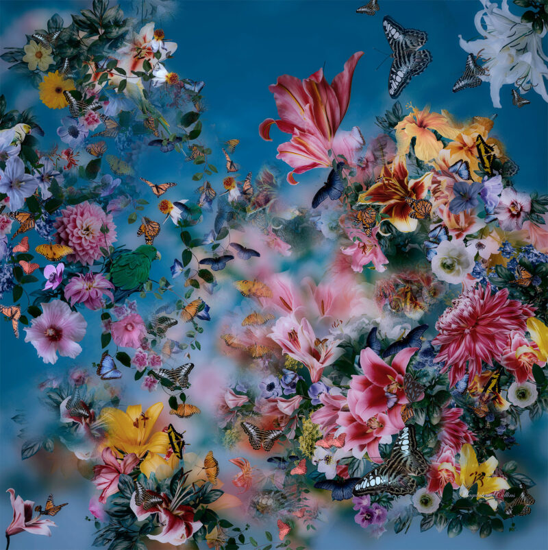 Melody of flowers