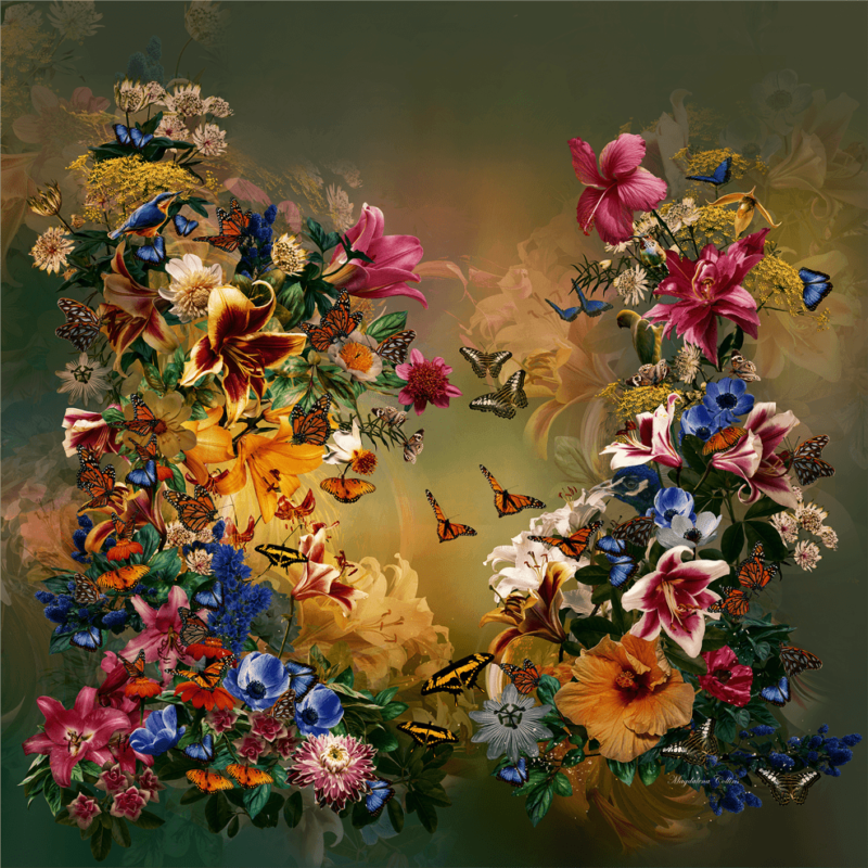 Butterflies in the Garden