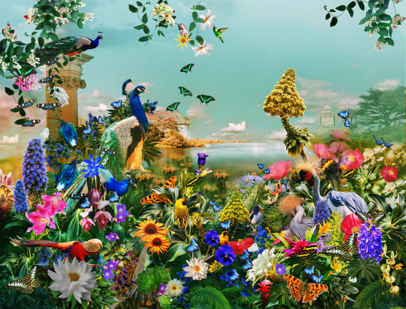 Garden of Planet Earth