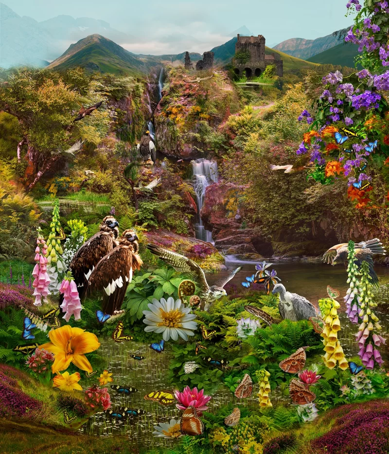 Vulture Valley