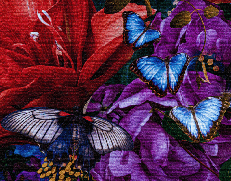 Spirit of Nature with text.